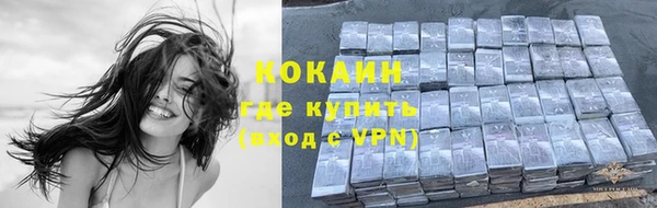 твердый Ладушкин