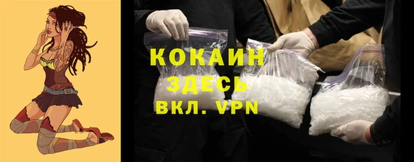 твердый Ладушкин