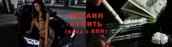 твердый Ладушкин