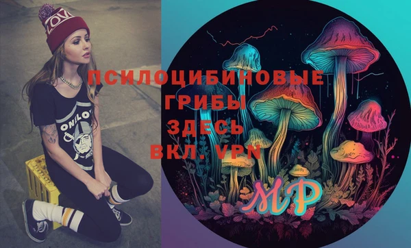 соль курить ск Лабытнанги
