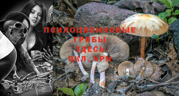 твердый Ладушкин