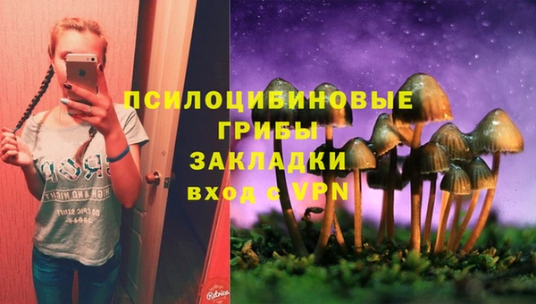 твердый Ладушкин