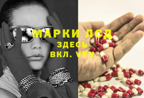 спайс Лагань