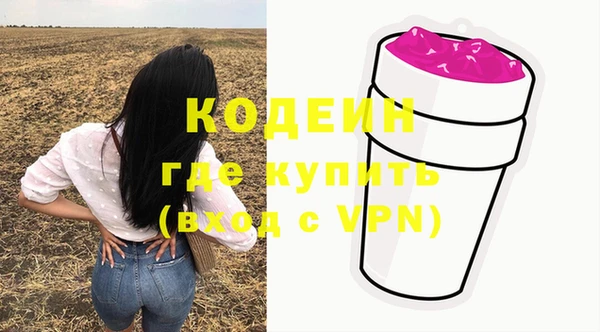 твердый Ладушкин