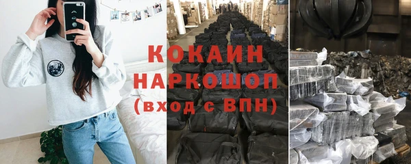 твердый Ладушкин