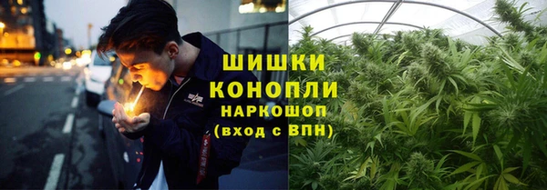 спайс Лагань